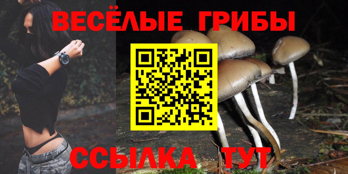 Псилоцибиновые грибы мухоморы Кропоткин