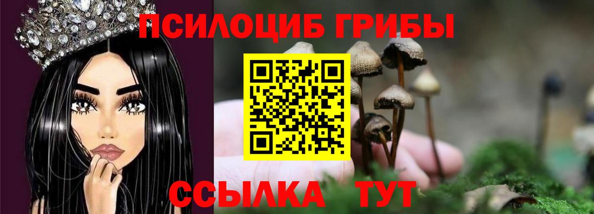 Галлюциногенные грибы MAGIC MUSHROOMS  Вход с VPN  Кропоткин 